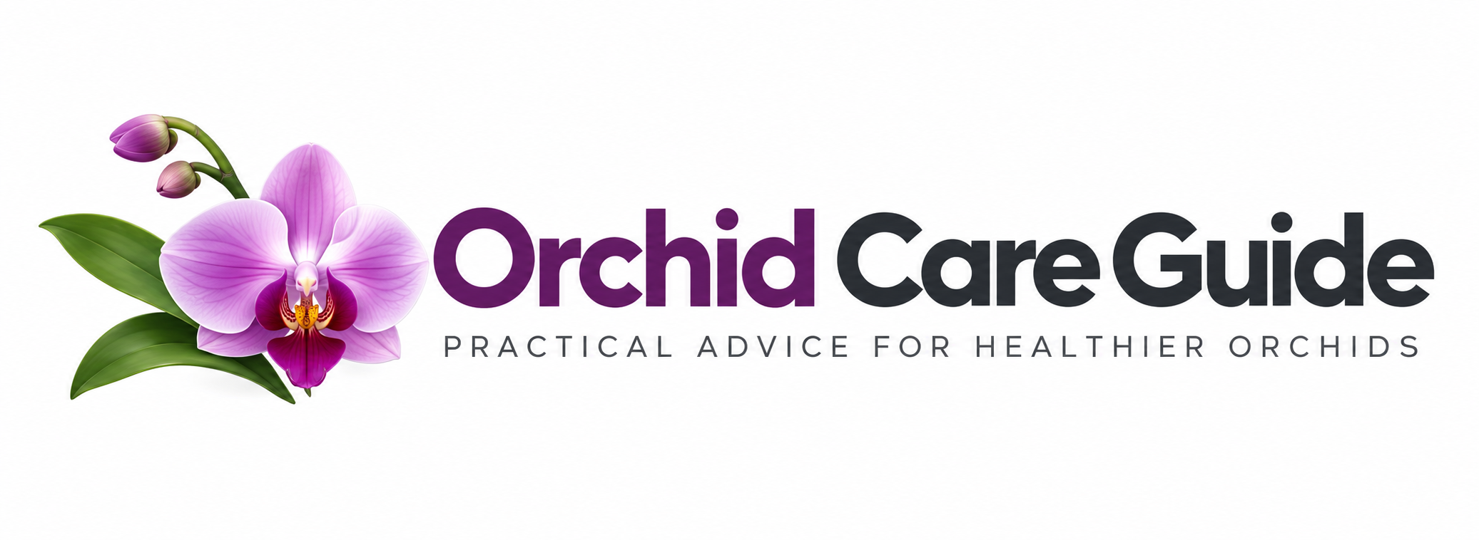 Orchid Care