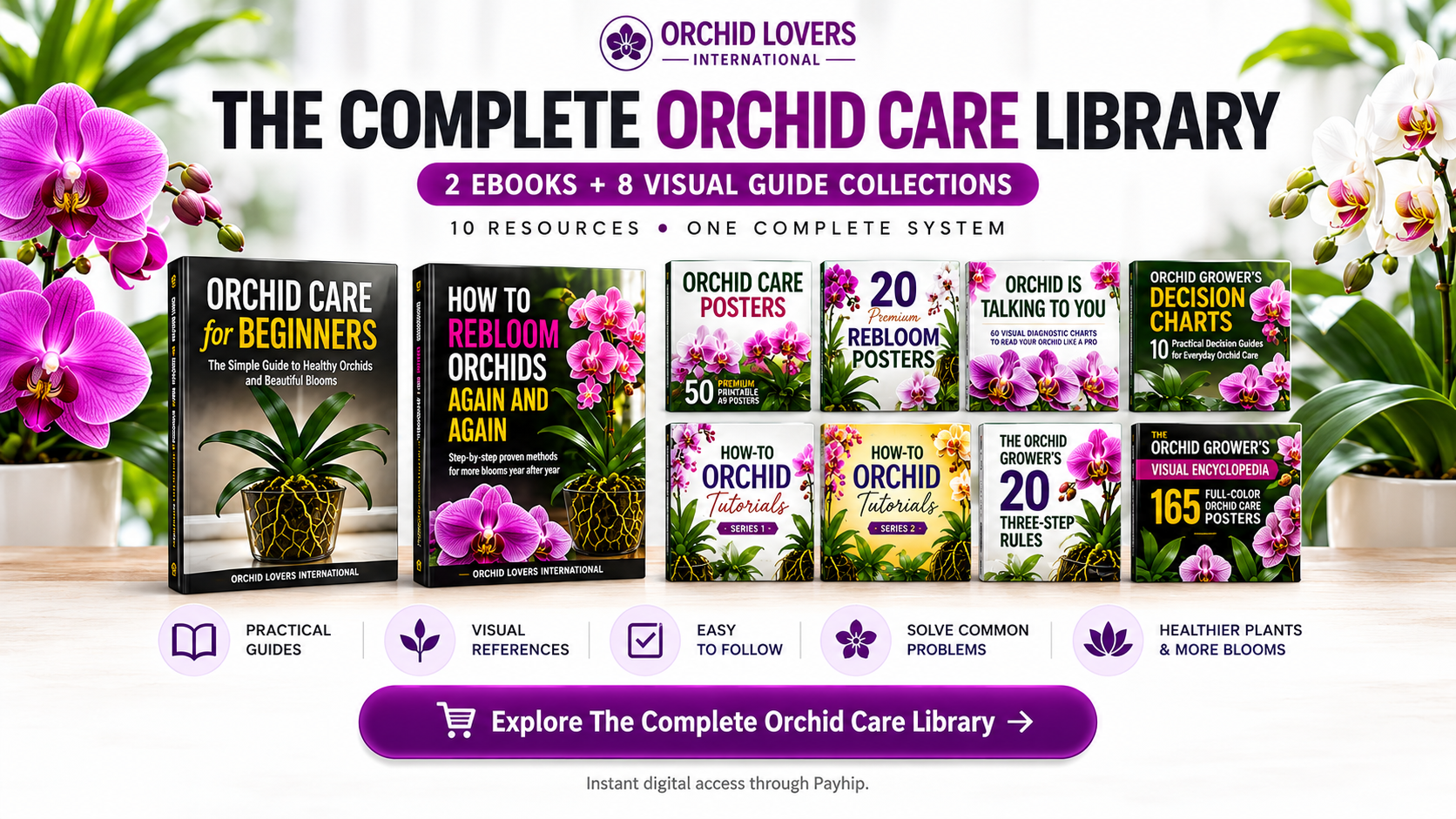 orchid care