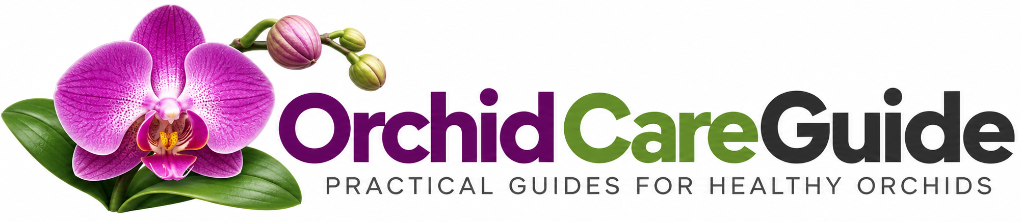 Orchid Care Guide
