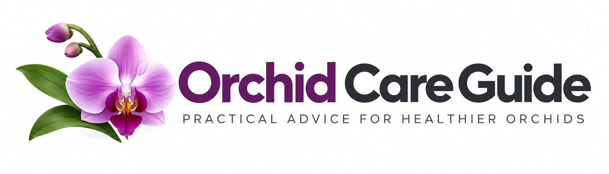 Orchid Care