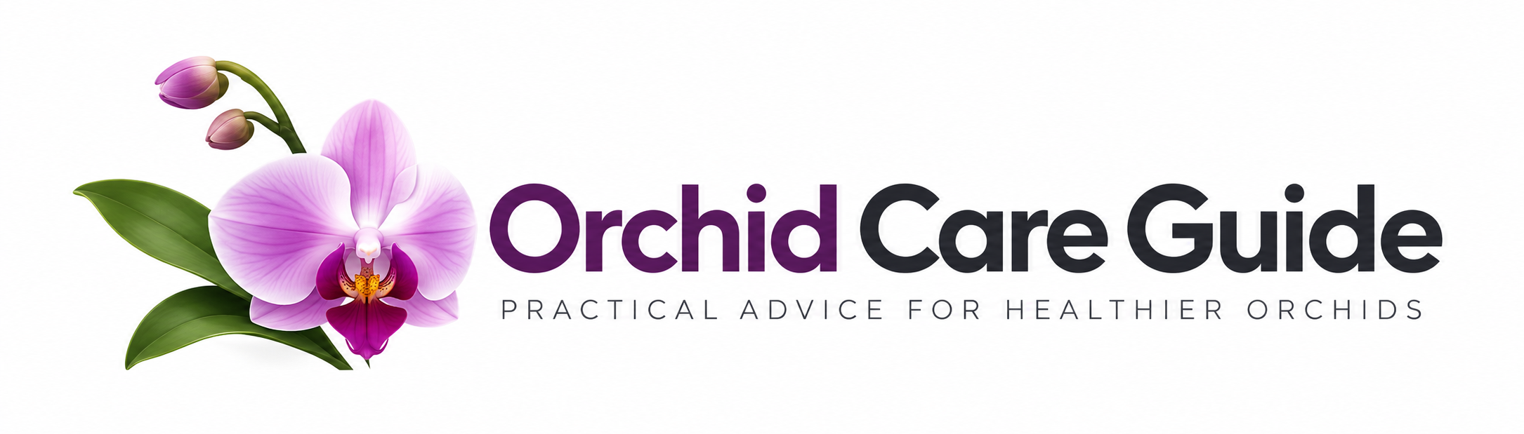 Orchid Care Guide